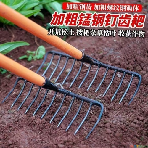 11齿螺纹耙子